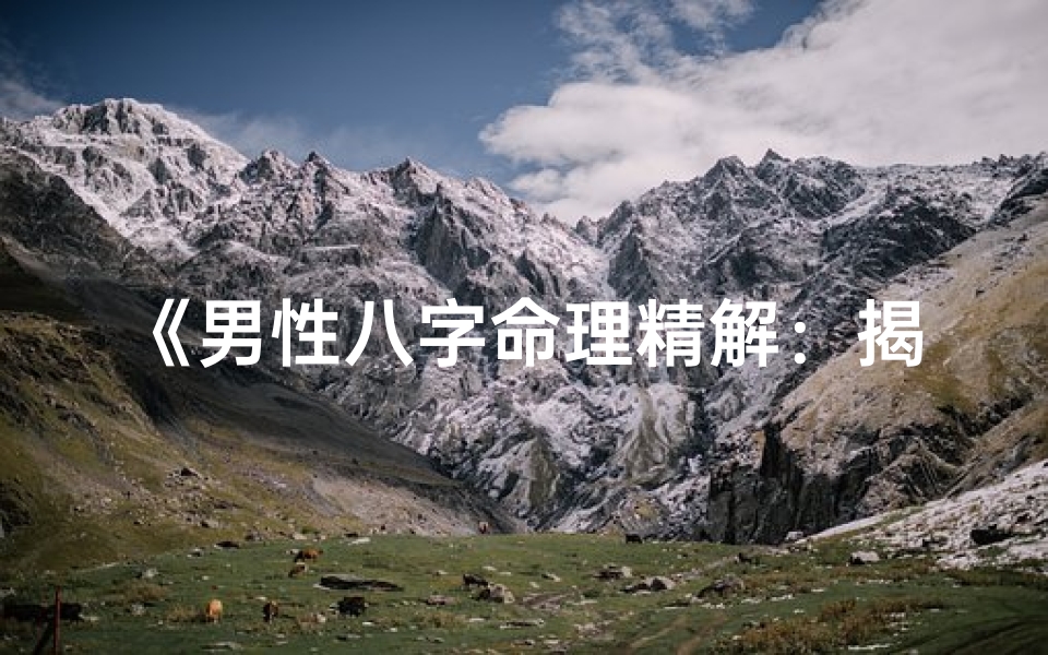 《男性八字命理精解:揭秘命运奥秘之书》