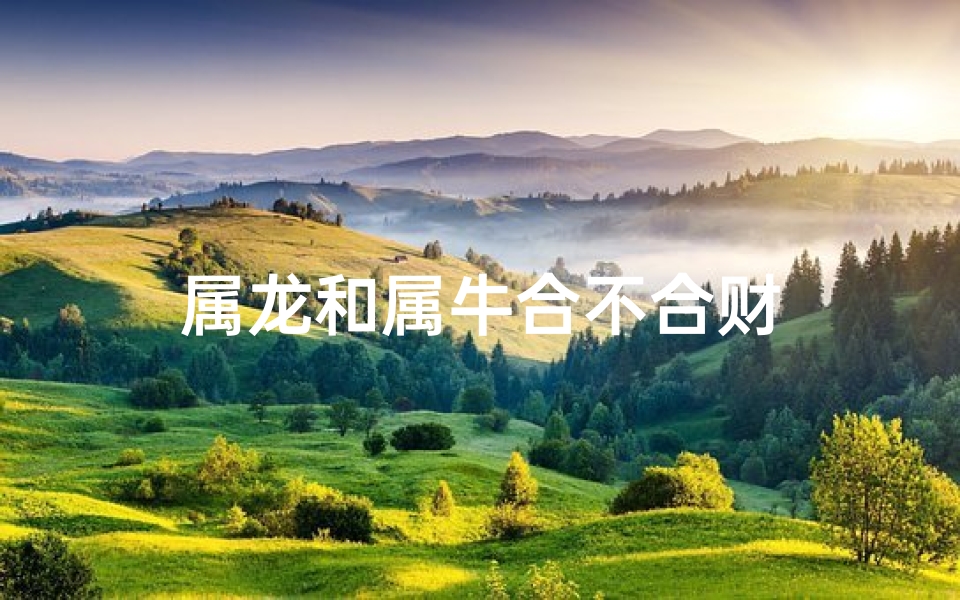 属龙和属牛合不合财