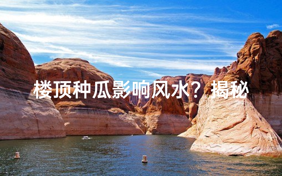 楼顶种瓜影响风水?揭秘神秘禁忌