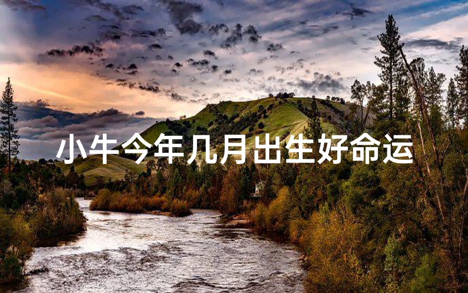 小牛今年几月出生好命运,《小牛出生月份揭秘:命运好坏关键时》