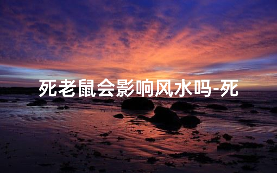 死老鼠会影响风水吗-死老鼠影响风水?揭秘家居风水禁忌