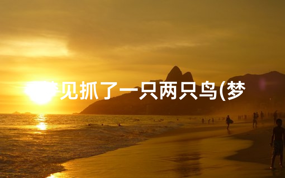 梦见抓了一只两只鸟(梦见抓了两只鸟是什么意思)