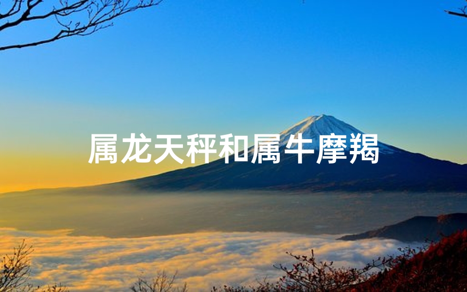 属龙天秤和属牛摩羯