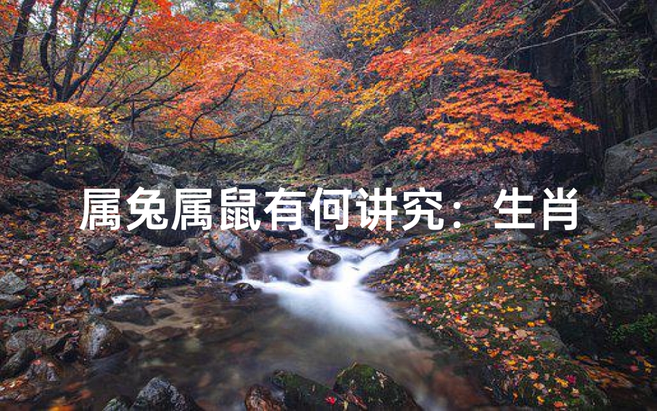 属兔属鼠有何讲究:生肖搭配大揭秘