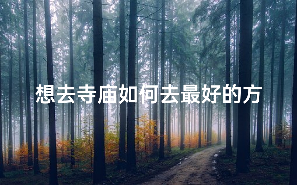 想去寺庙如何去最好的方法—如何轻松前往寺庙:最佳出行攻略