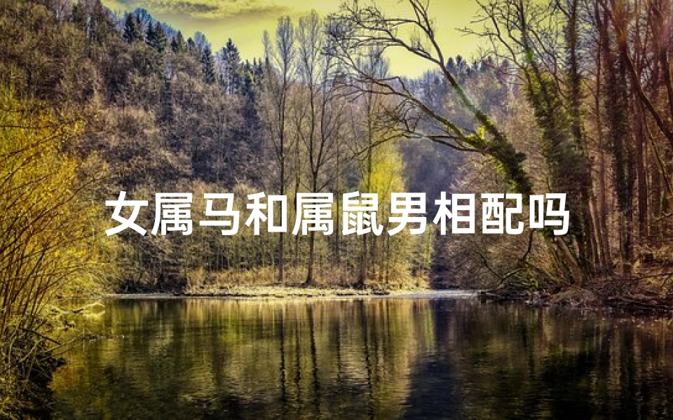 女属马和属鼠男相配吗