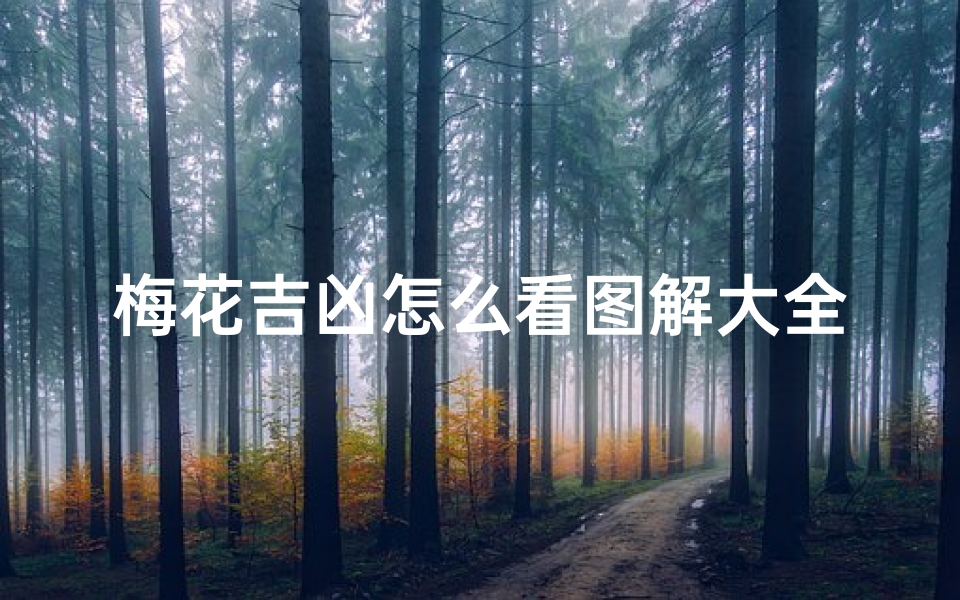 梅花吉凶怎么看图解大全;梅花详解