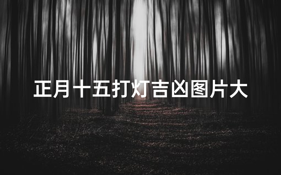 正月十五打灯吉凶图片大全(正月15打灯笼的寓意)