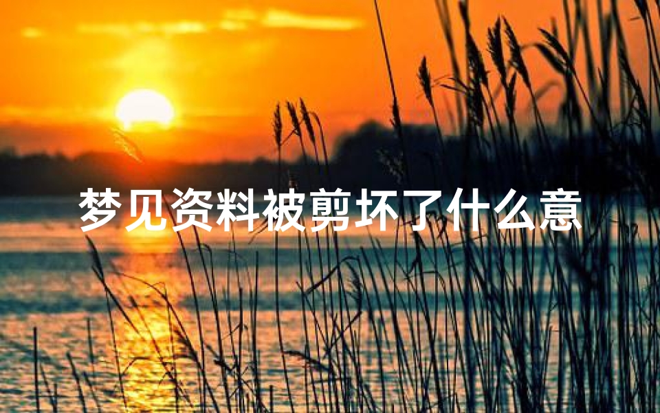 梦见资料被剪坏了什么意思;梦见重要资料被撕毁