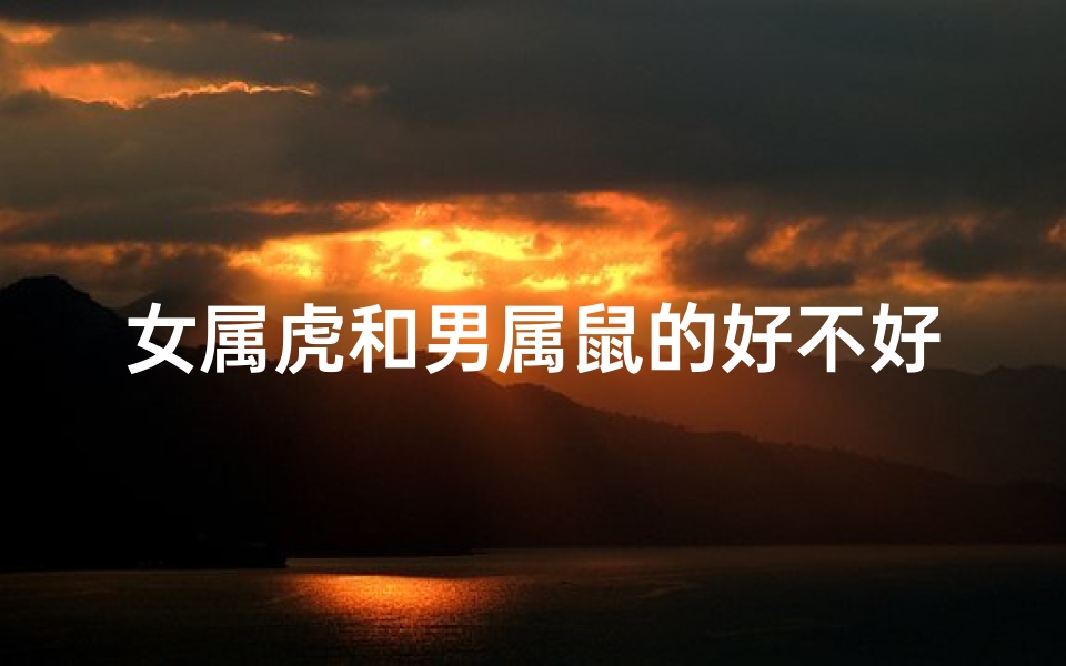 女属虎和男属鼠的好不好(属虎女与属鼠男:相克之谜揭晓)