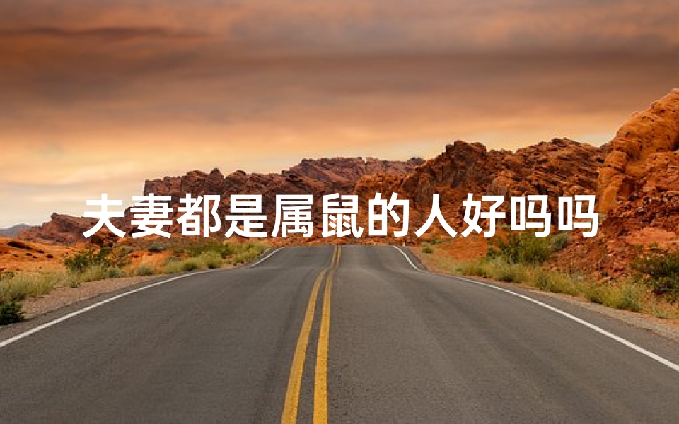 夫妻都是属鼠的人好吗吗—属鼠夫妻的幸福生活揭秘