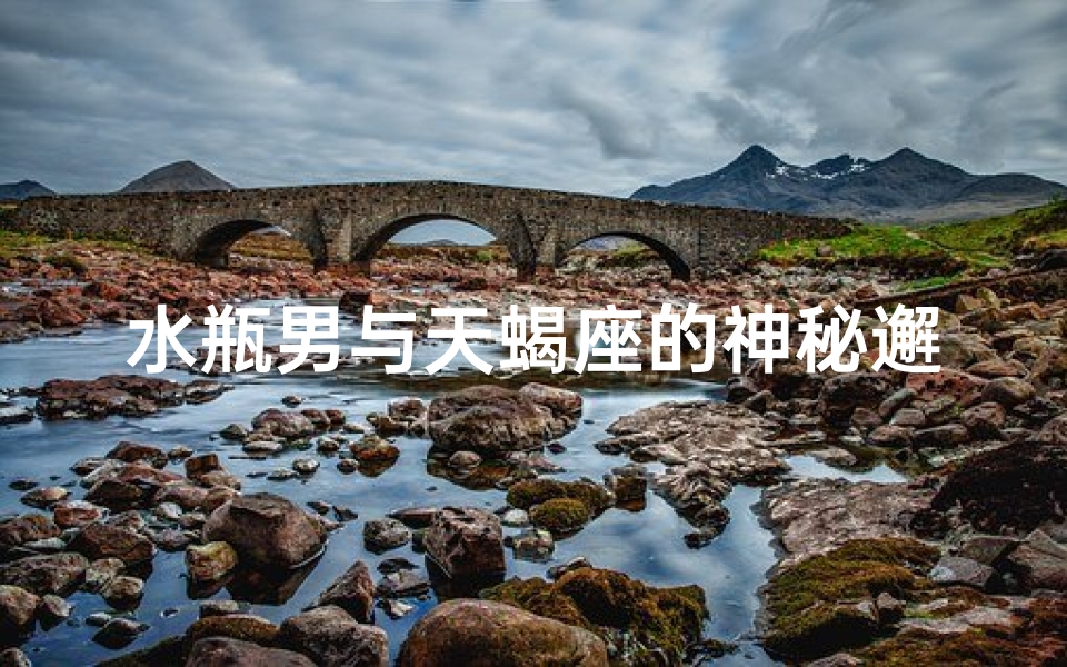 水瓶男与天蝎座的神秘邂逅