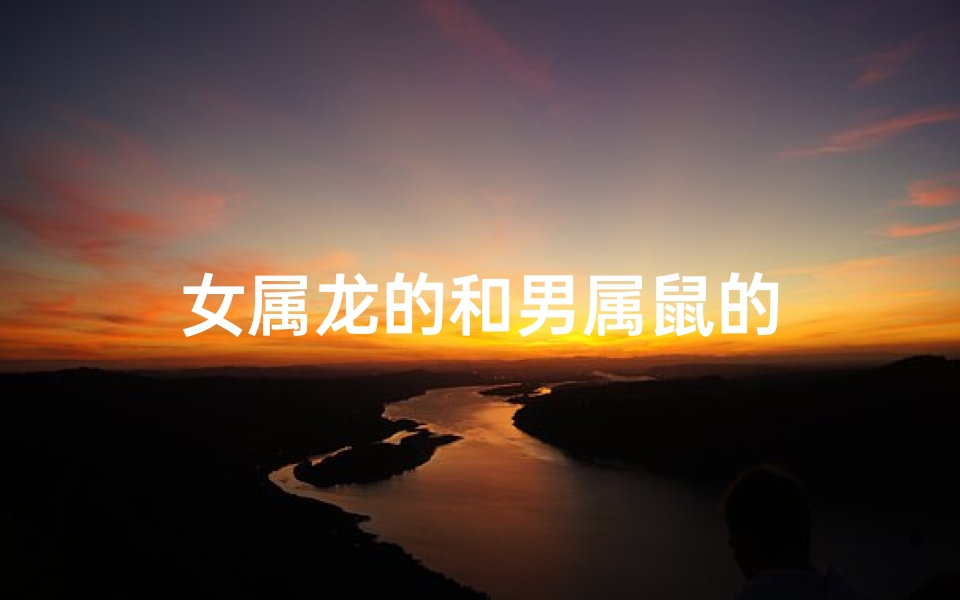 女属龙的和男属鼠的