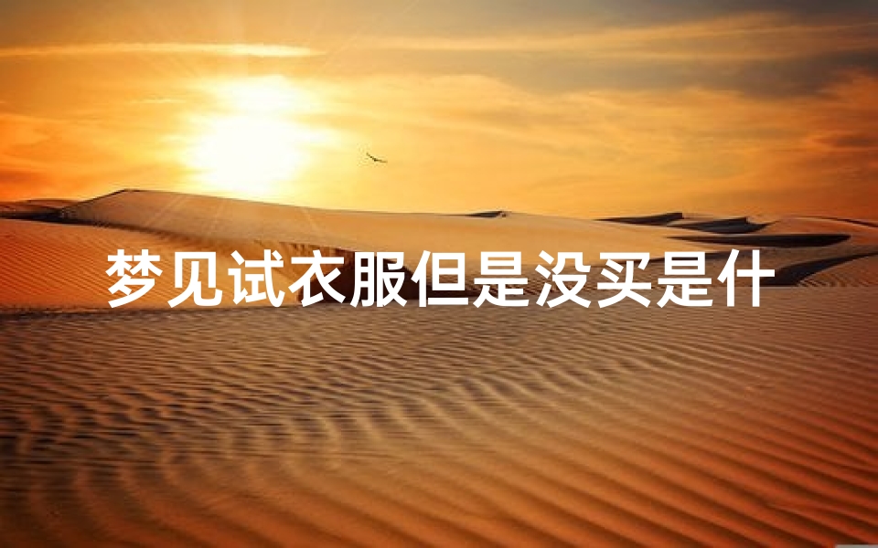 梦见试衣服但是没买是什么意思(梦到自己去试衣服最后也没有买)-优贝算卦网