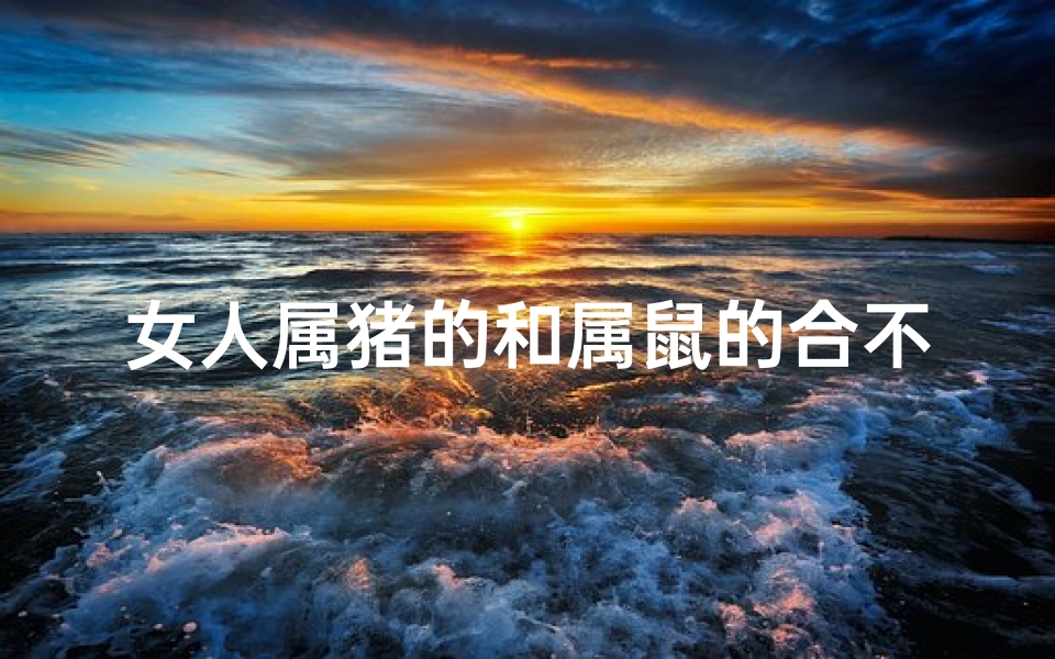 女人属猪的和属鼠的合不合-属猪属鼠情缘深,合不合?天生一对?