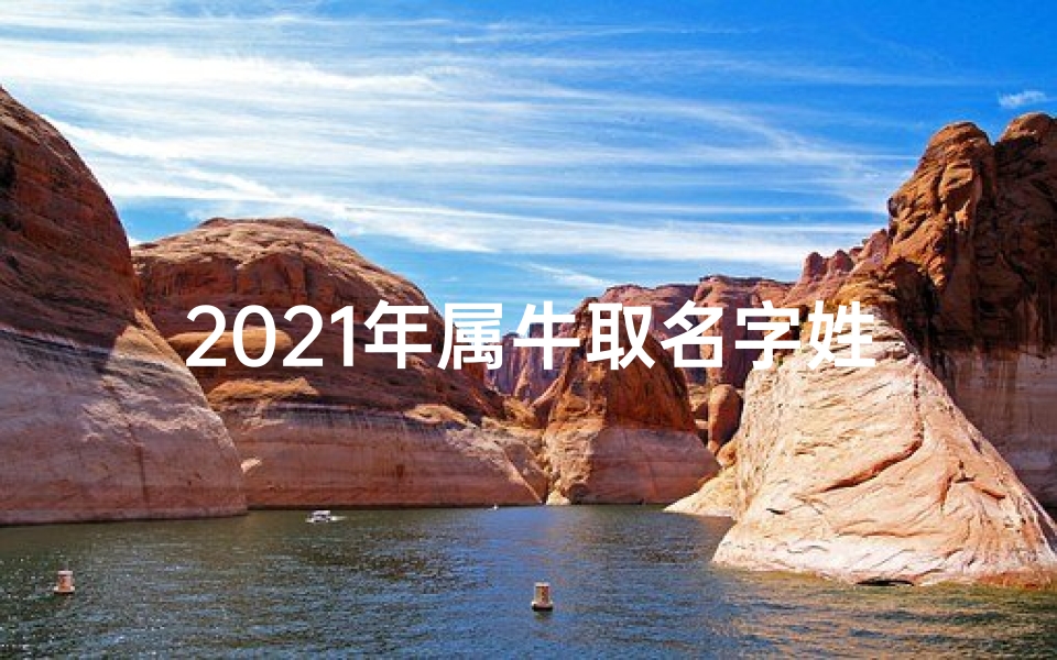2021年属牛取名字姓张男孩—属牛宝宝张羽晨:阳光灿烂的晨曦之星