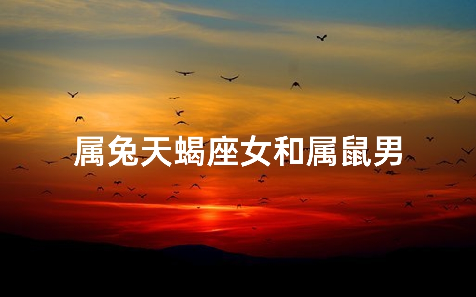 属兔天蝎座女和属鼠男