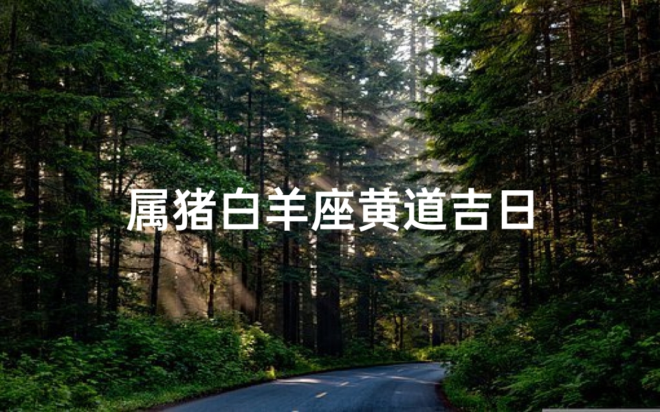 属猪白羊座黄道吉日