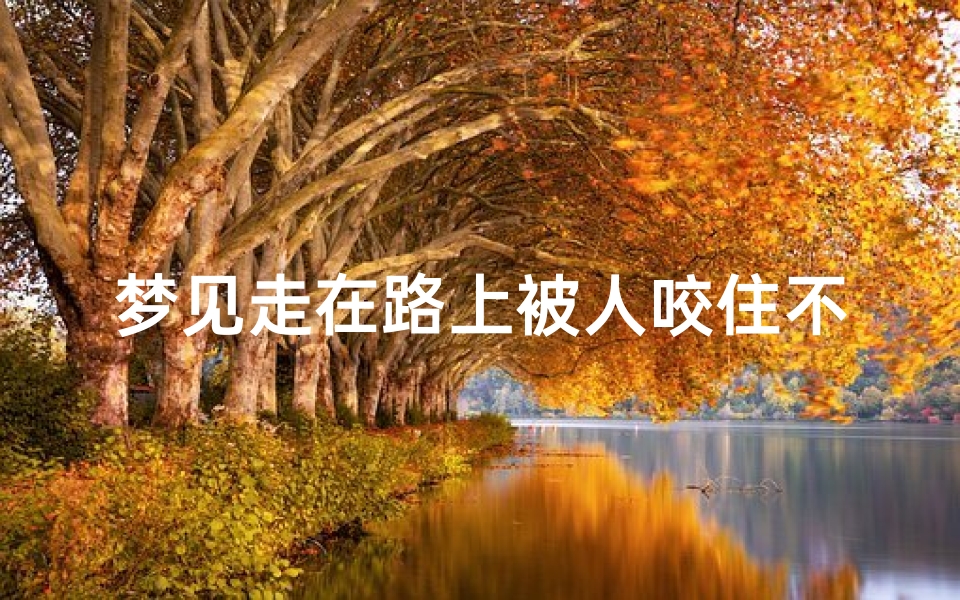 梦见走在路上被人咬住不放、梦见走在路上被人咬住不放什么意思