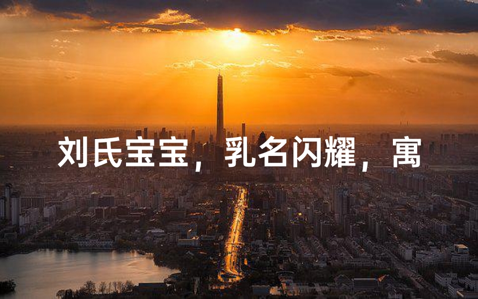 刘氏宝宝,乳名闪耀,寓意美好人生