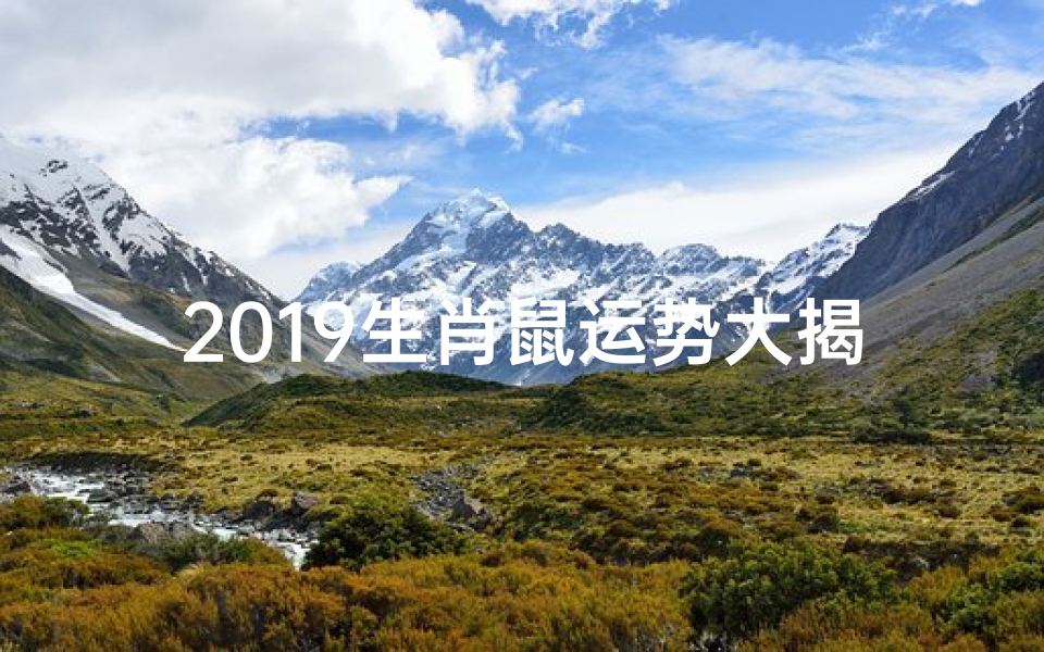 2019生肖鼠运势大揭秘:财运、爱情、事业全解析