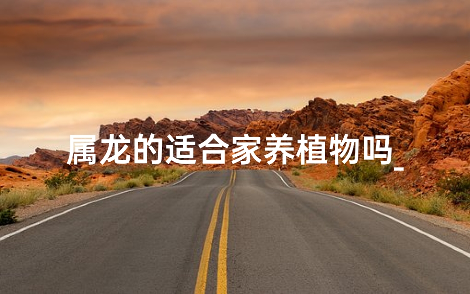 属龙的适合家养植物吗_家庭属龙的适合养什么花