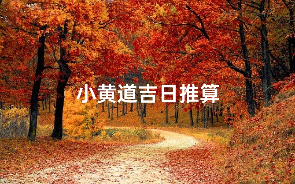 小黄道吉日推算