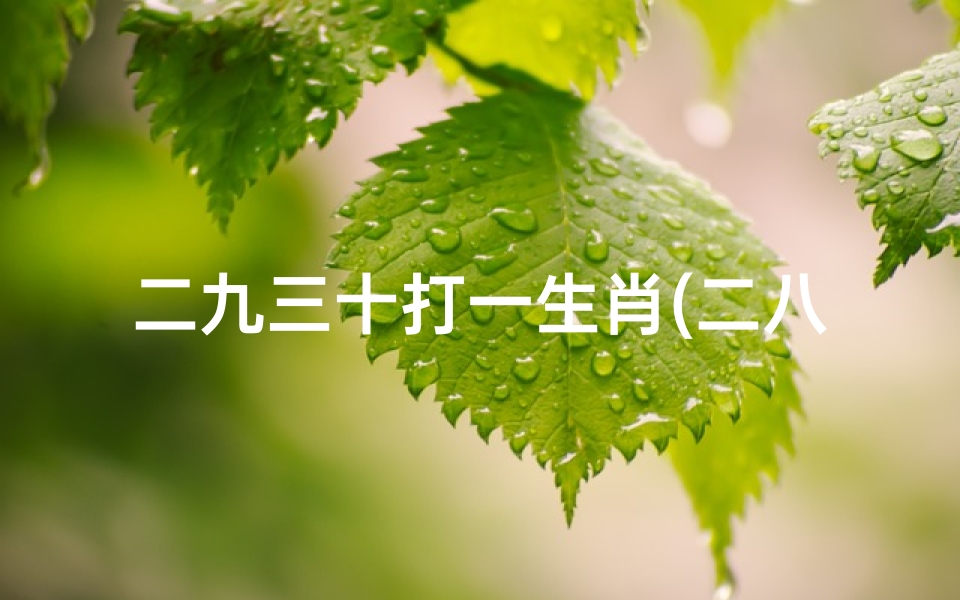 二九三十打一生肖(二八二九三十吉时吉凶,揭秘吉凶奥秘)