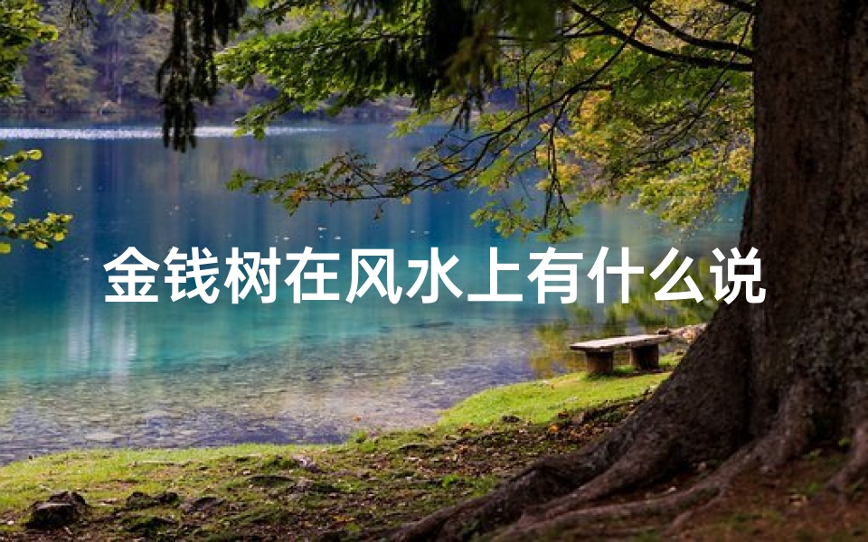 金钱树在风水上有什么说法,金钱树招财风水佳,家居必备旺财宝