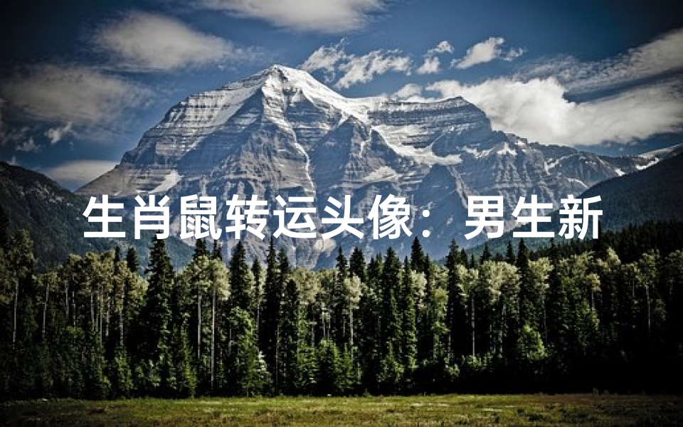 生肖鼠转运头像：男生新形象，好运随身行