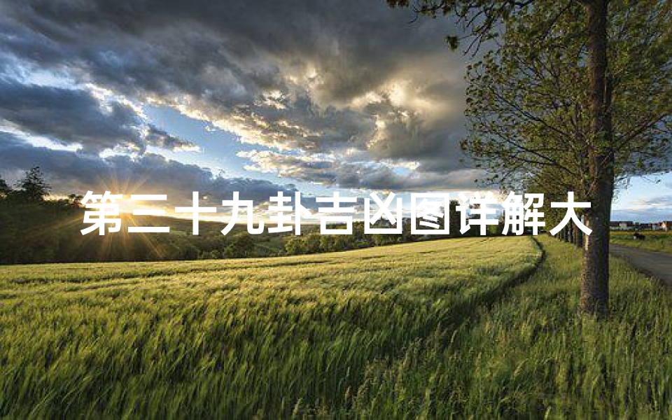 第三十九卦吉凶图详解大全-《第三十九卦吉凶图详解:揭秘易经智慧精髓》