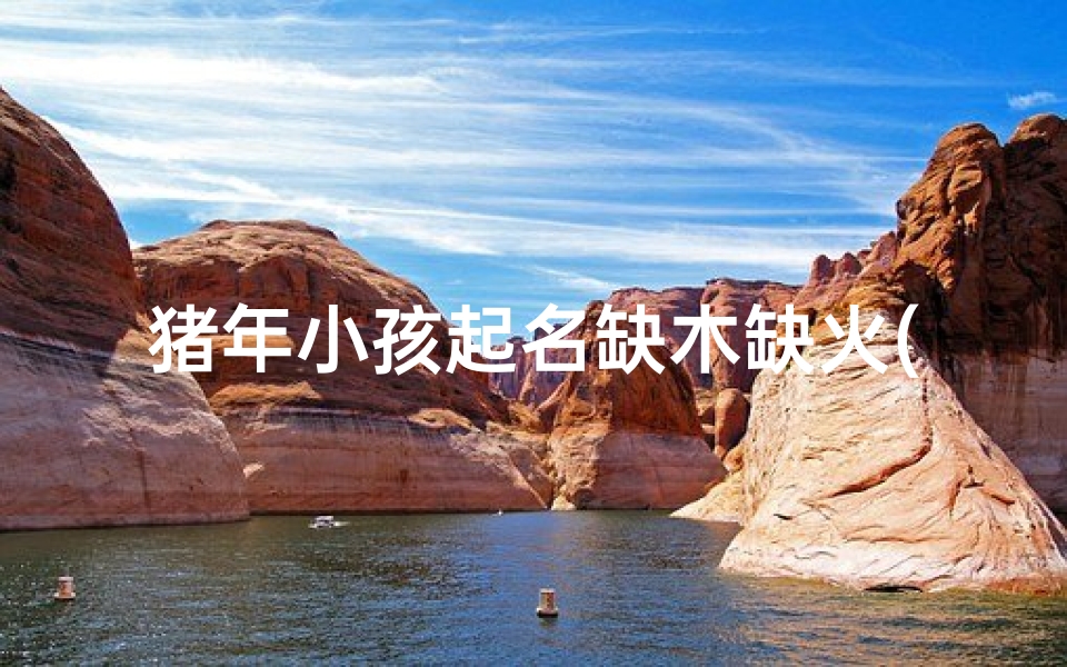 猪年小孩起名缺木缺火(属猪缺木的男孩名字小名)