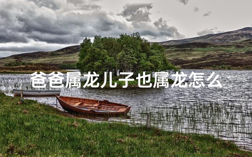爸爸属龙儿子也属龙怎么破解—龙父羊儿情意浓：父子缘分话生肖