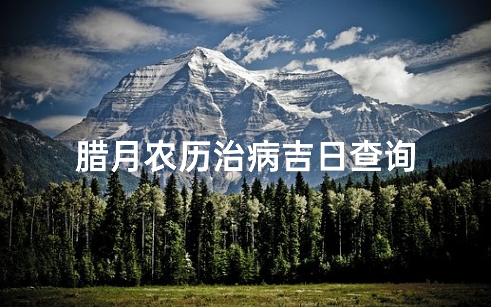 腊月农历治病吉日查询