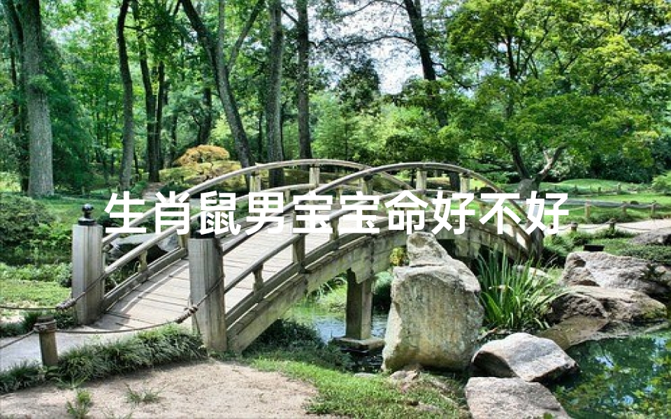 生肖鼠男宝宝命好不好