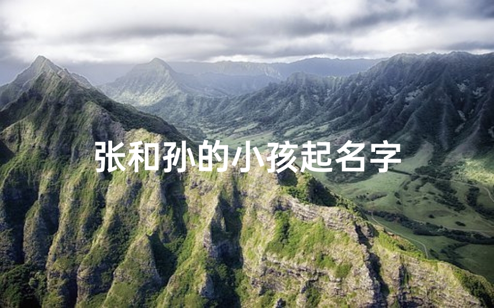 张和孙的小孩起名字