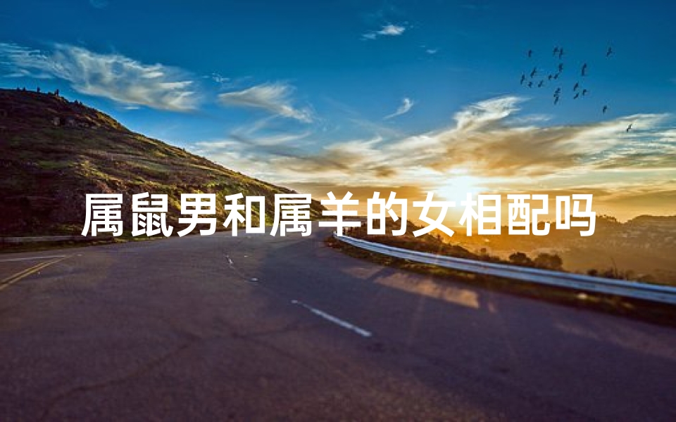 属鼠男和属羊的女相配吗(属鼠男的和属羊女的相配结果会怎么样)