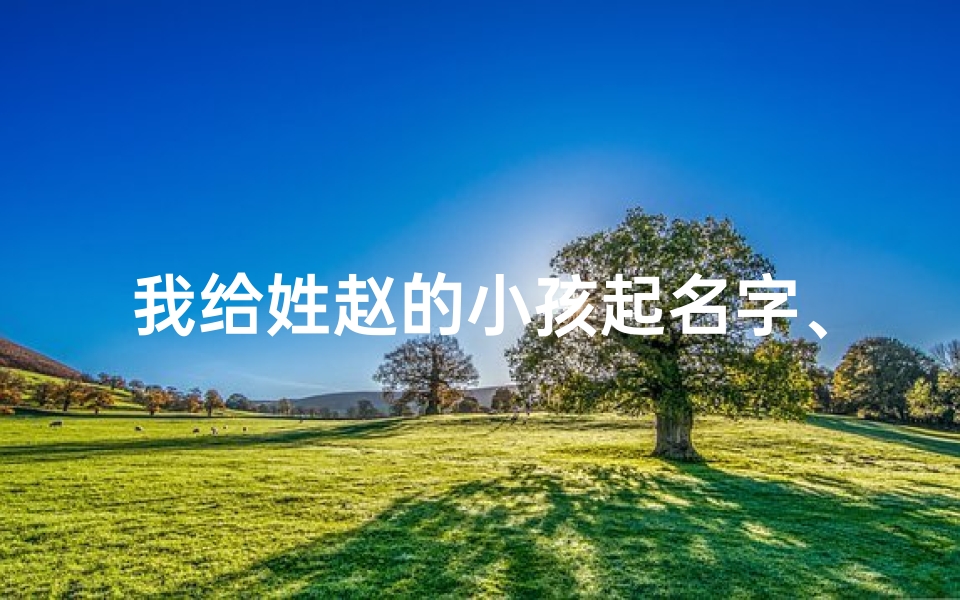 我给姓赵的小孩起名字、《赵家宝贝,我为取名费思量》