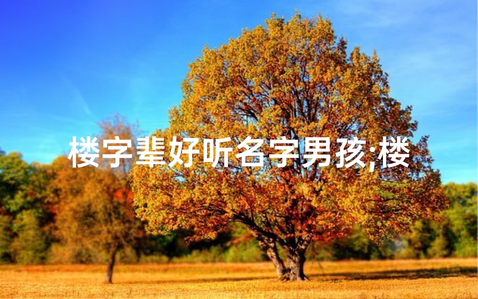 楼字辈好听名字男孩;楼姓男孩起名大全:传承经典,慧眼独具的名字精选