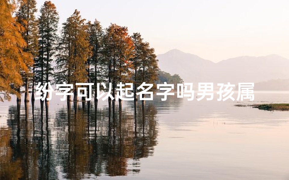 纷字可以起名字吗男孩属龙—《纷龙腾跃,龙腾盛世少年风采》