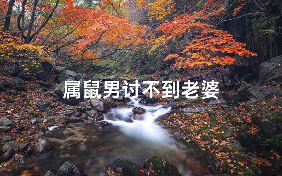 属鼠男讨不到老婆