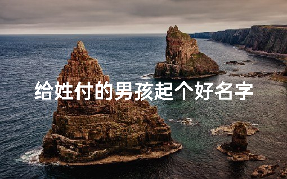 给姓付的男孩起个好名字—《付家宝贝,起名大作战:寻找最炫酷的名字》