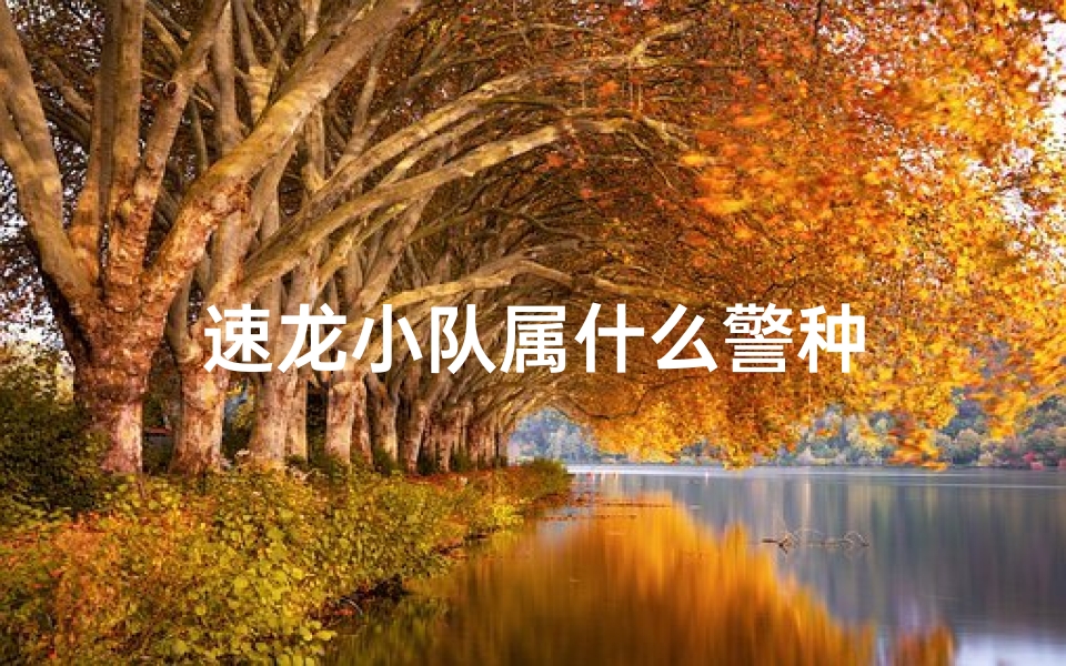 速龙小队属什么警种