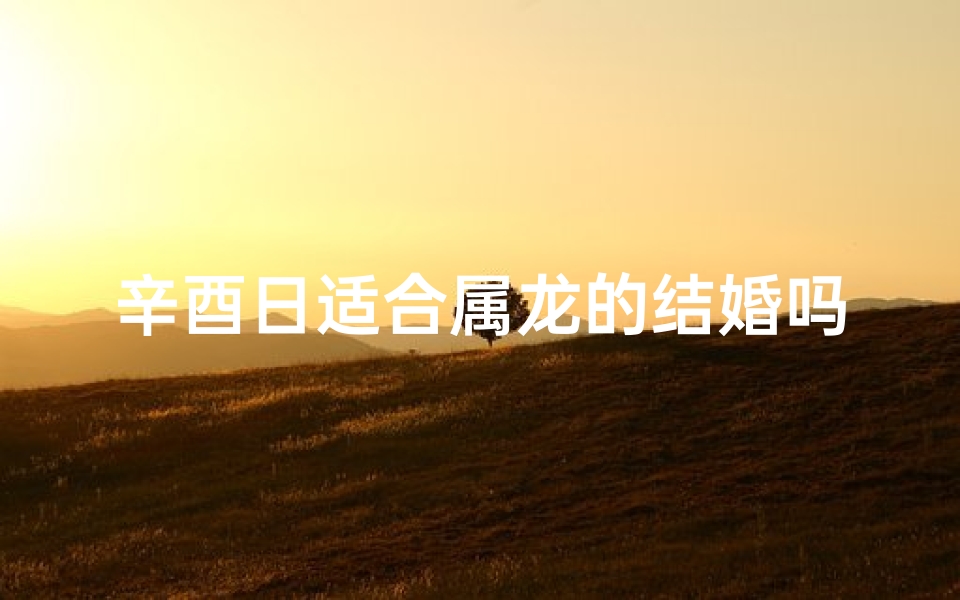 辛酉日适合属龙的结婚吗_辛酉日属龙结婚吉日:百年好合,龙凤呈祥