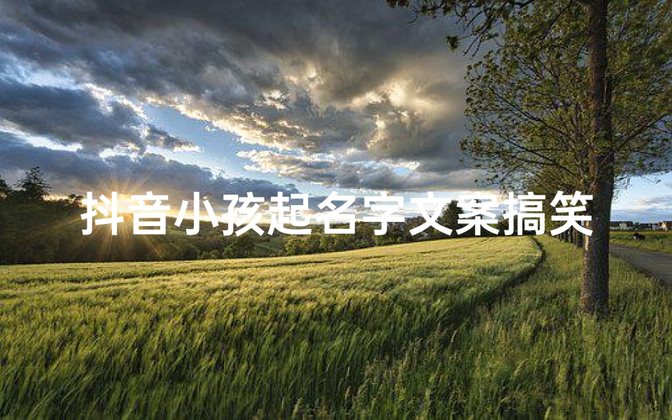 抖音小孩起名字文案搞笑-优贝算卦网