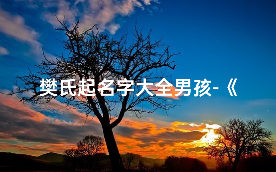樊氏起名字大全男孩-《樊氏小孩命名:巧思创意,起名之道》-优贝算卦网
