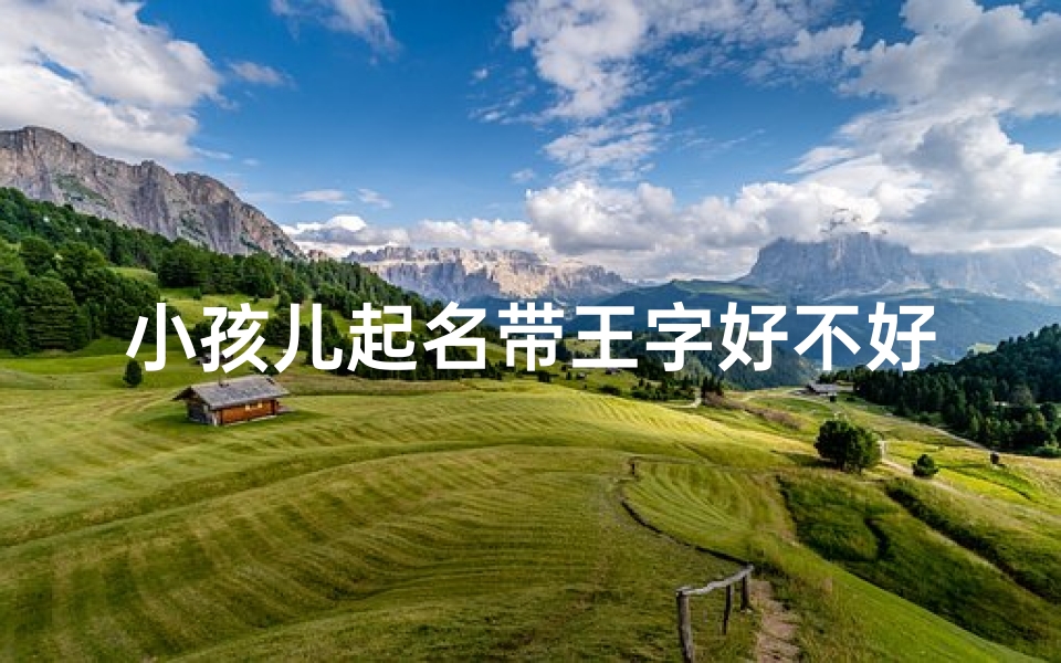 小孩儿起名带王字好不好,带王字取名字