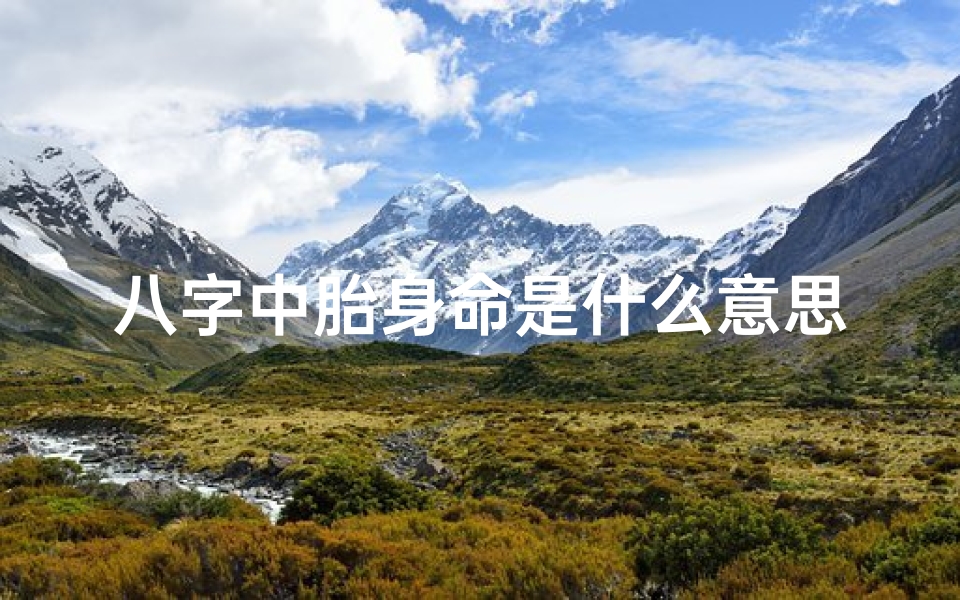 八字中胎身命是什么意思;八字胎身命揭秘:解读命理中的神秘胎身