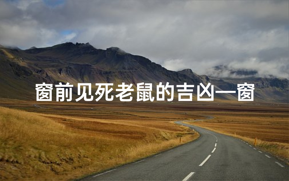 窗前见死老鼠的吉凶—窗台有只死老鼠