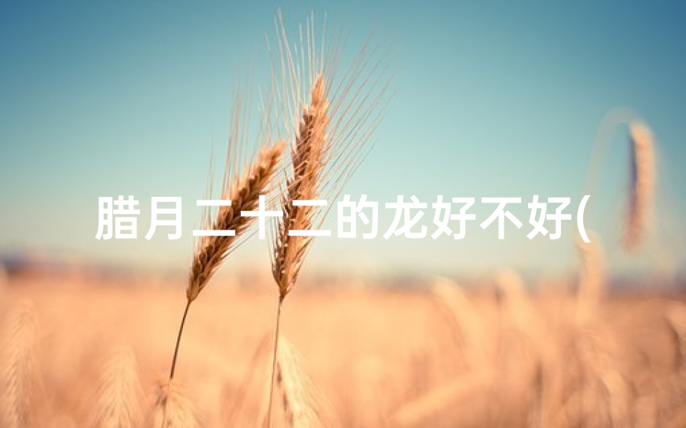 腊月二十二的龙好不好(腊月二十二属龙宜婚嫁吉日揭秘)